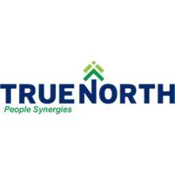 True North Consult logo