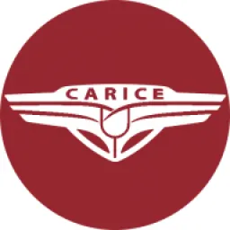 Carice Cars logo