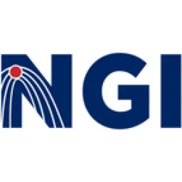 NGI &ndash; Nippon Gateway Infrastructure logo