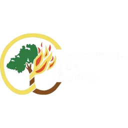 Association for Fire Ecology logo