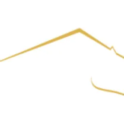 Rhino Tool House logo