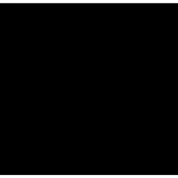 Polar Point logo