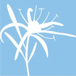 TwoFoundersTalk logo