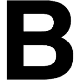 Binelli Group logo