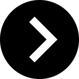 Petroflex NA logo