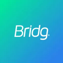 Bridg Payment Solutions logo