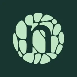 Novonesis logo