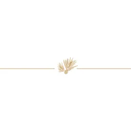North State Bank logo