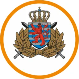 Public logo