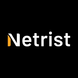 Netrist Solutions logo
