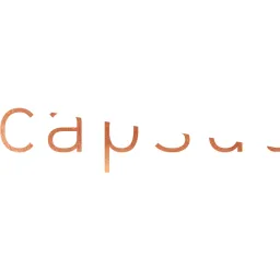Capsule Ventures logo
