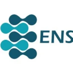 ENS Solutions logo