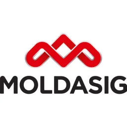 Moldasig logo