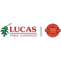 Lucas Tree Experts