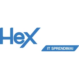Heksimus logo