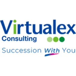 Virtualex Consulting logo