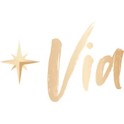 Via Travel App logo