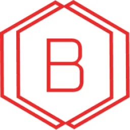 BRIGHT SILICON TECHNOLOGIES logo