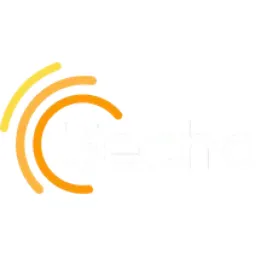 3Echo logo