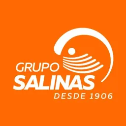 Grupo Salinas logo