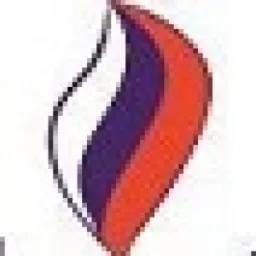 PromGazStroy logo