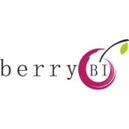BerryBI logo