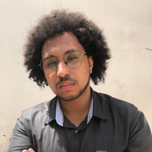 Mostafa Elmnaoui