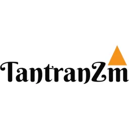 TantranZm Technologies logo