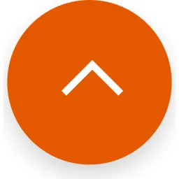 Brains Consulting logo