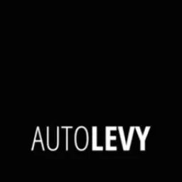 Auto Levy logo
