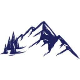 Wisepath Group logo